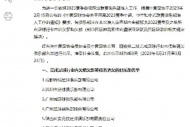 城中城中的要账公司在催收过程中的策略和技巧有哪些？